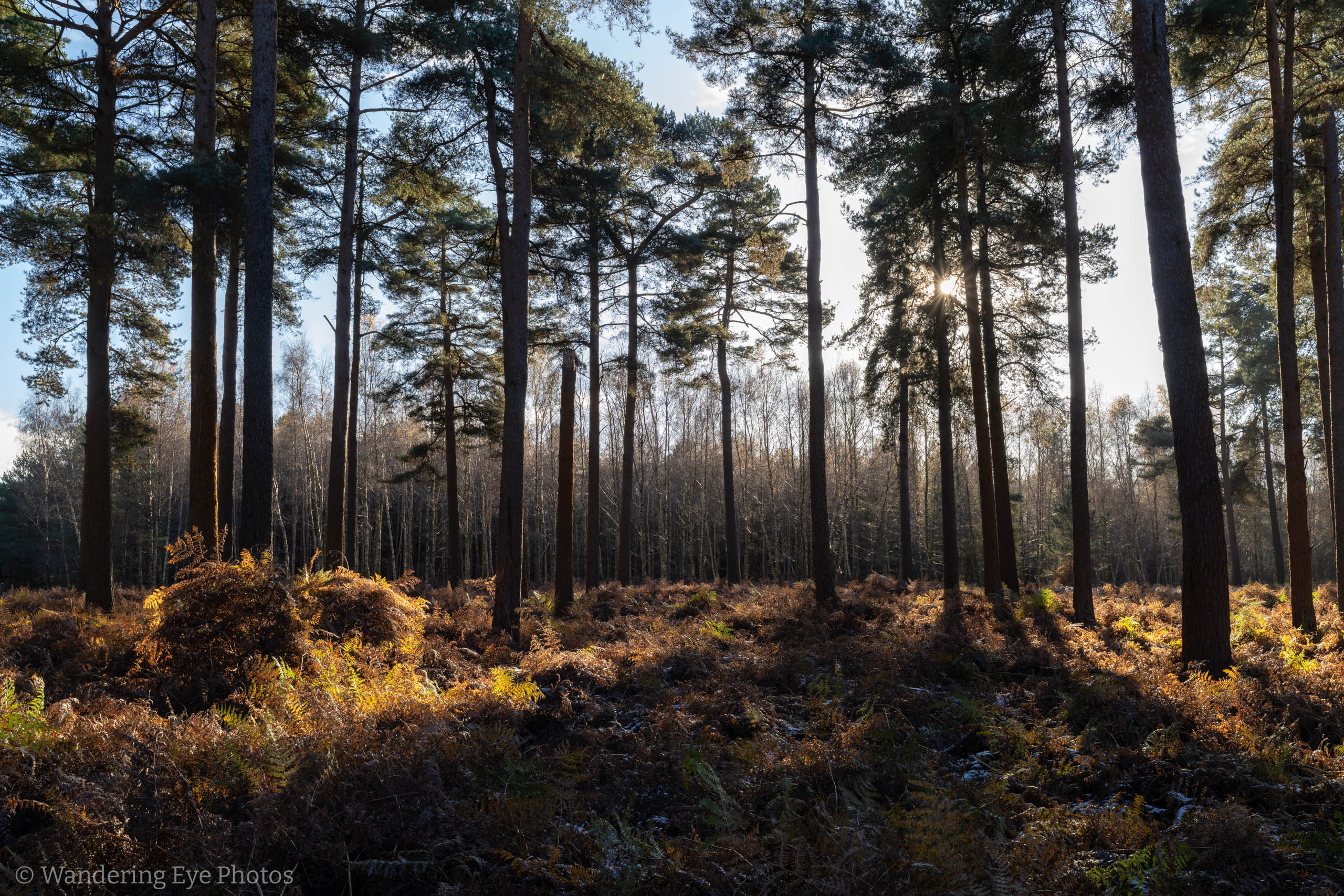 11.22 10.13.11   DSC04748